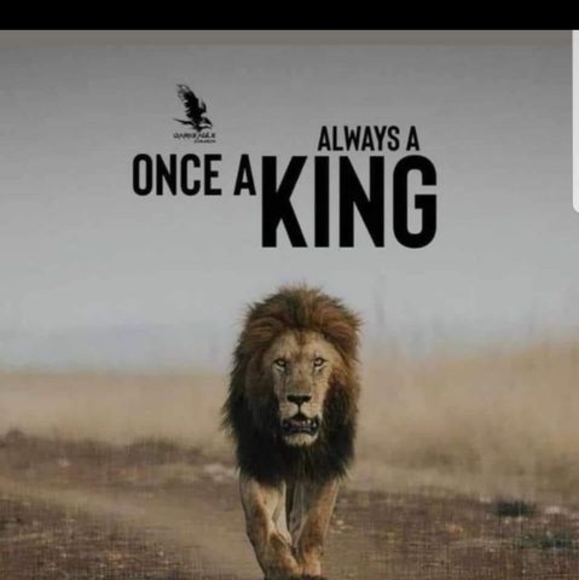 benjaminlion